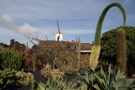 Cactuses, Jardín De Cactus, Guatiza